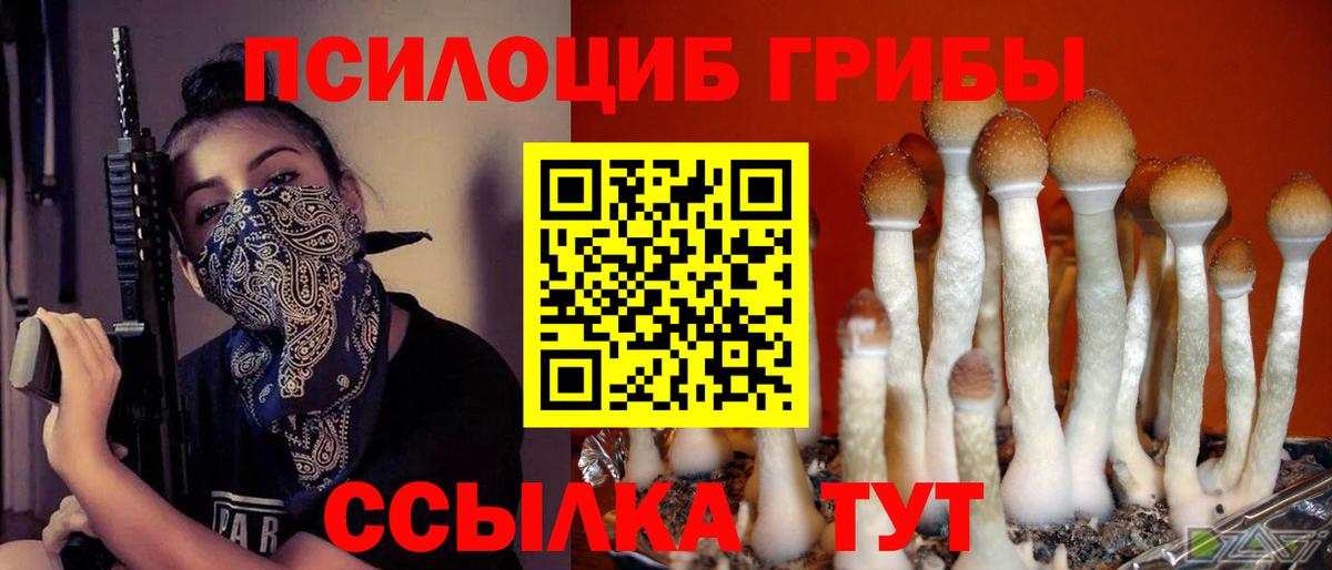 Псилоцибиновые грибы Psilocybine cubensis  Вход с VPN  Кудрово 