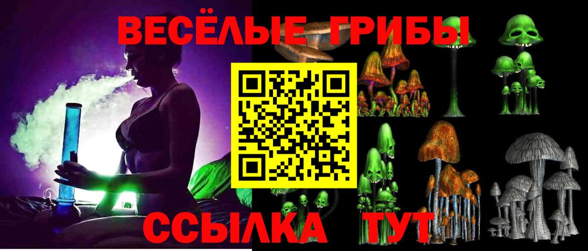 Галлюциногенные грибы GOLDEN TEACHER Кудрово